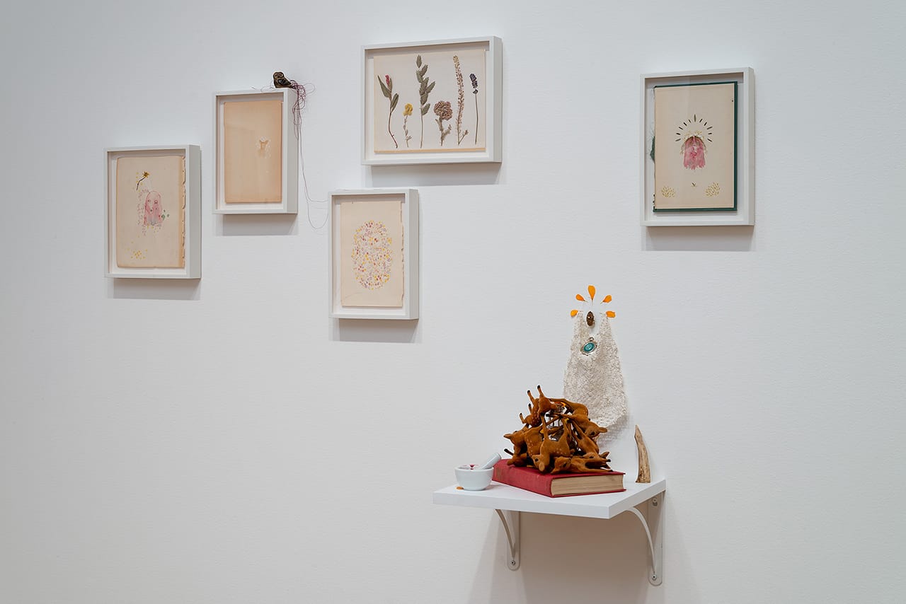 Installation view, 'Rodolfo Marron III: A Poke Ghost and the Garden of Tearz' at the Nerman Museum of Contemporary Art (click to enlarge)
