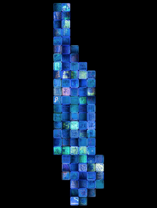 "NYC Biome Map" by various scientists and artists, submitted by Christine Marizzi, Cold Spring Harbor Laboratory/DNA Learning Center