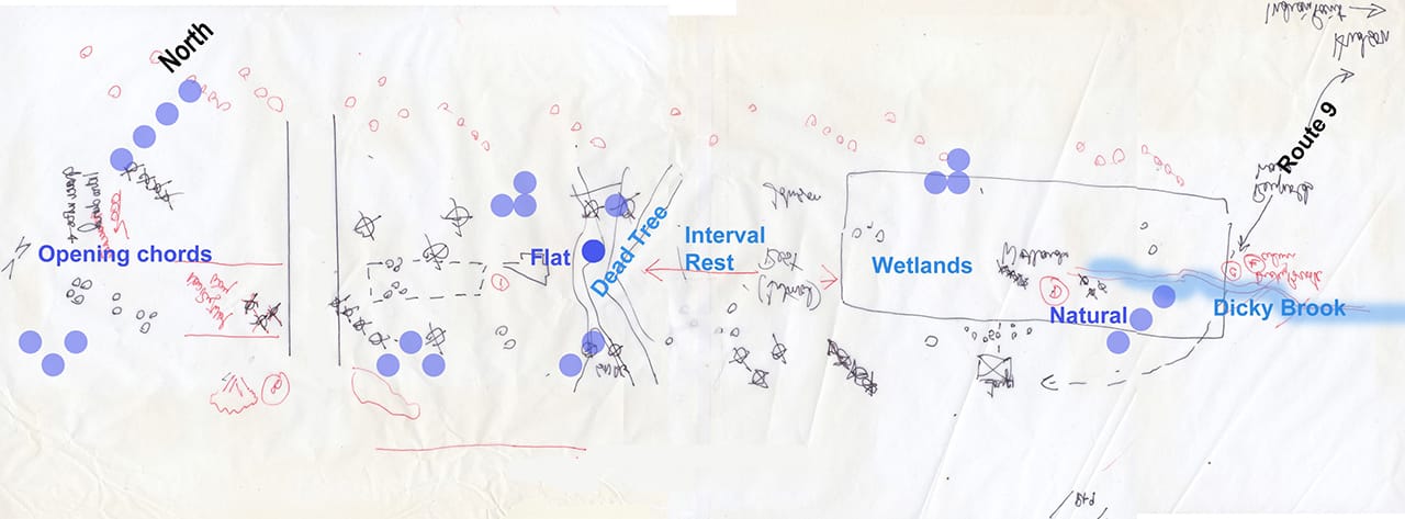 Aviva Rahmani, “One Note, One Tree, #2,” spatial acoustic map of completed "Blued Trees" overture installation (2015) (image courtesy Aviva Rahmani) (click to enlarge)
