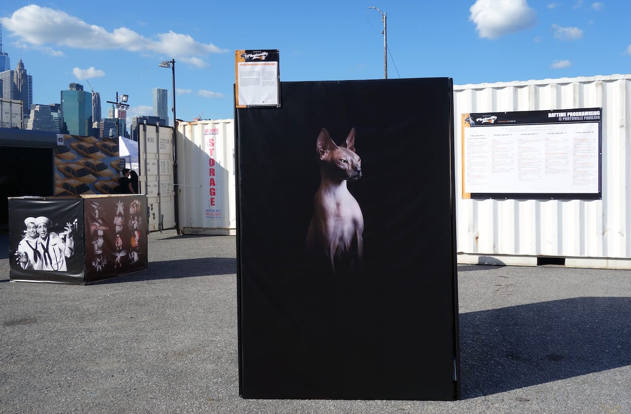 Photoville in Brooklyn Bridge Park