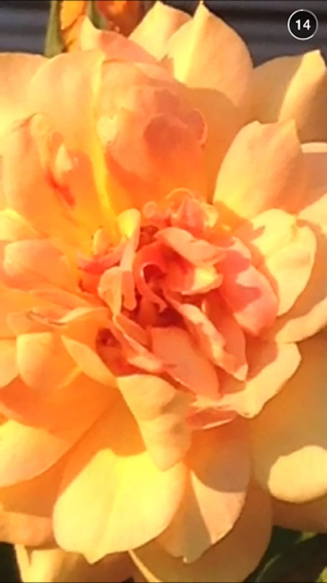 SergiyBarchuk_Photo6