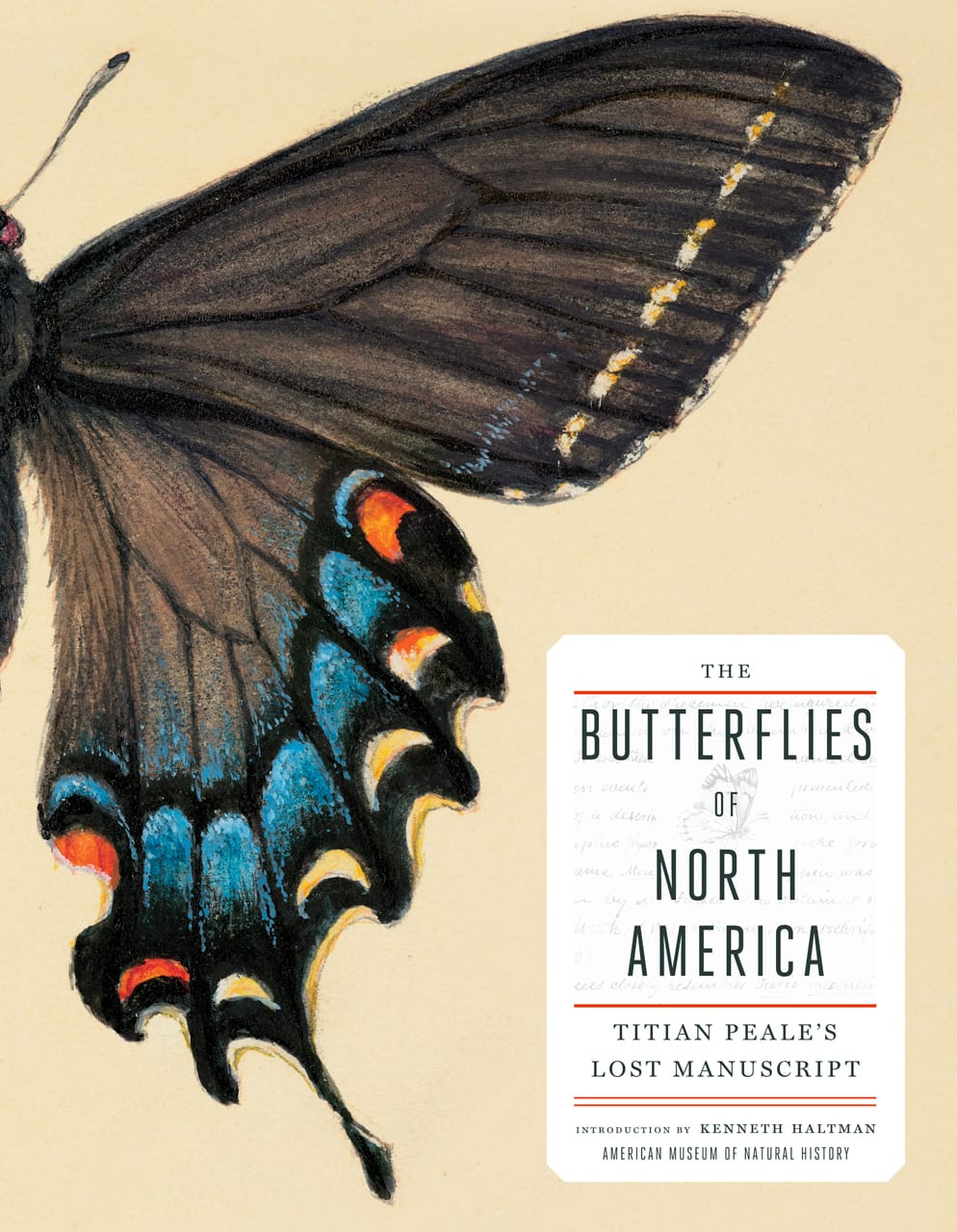 Cover of 'The Butterflies of North America: Titian Peale's Lost Manuscript' (click to enlarge)