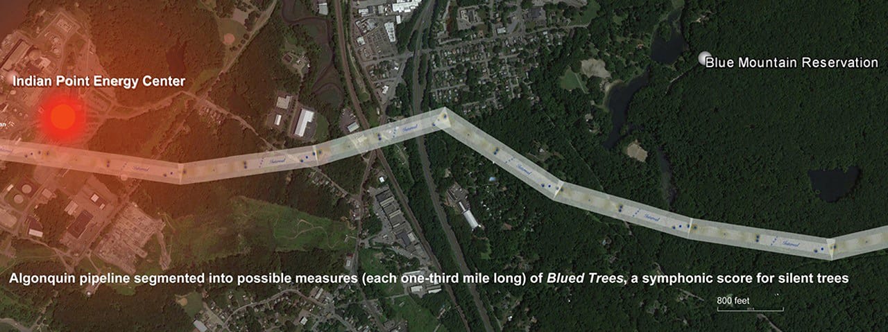 Aviva Rahmani, “Too close,” satellite map of Algonquin pipeline corridor showing location of Indian Point nuclear facility overlaid with "Blued Trees" score overlay (2015) (click to enlarge)