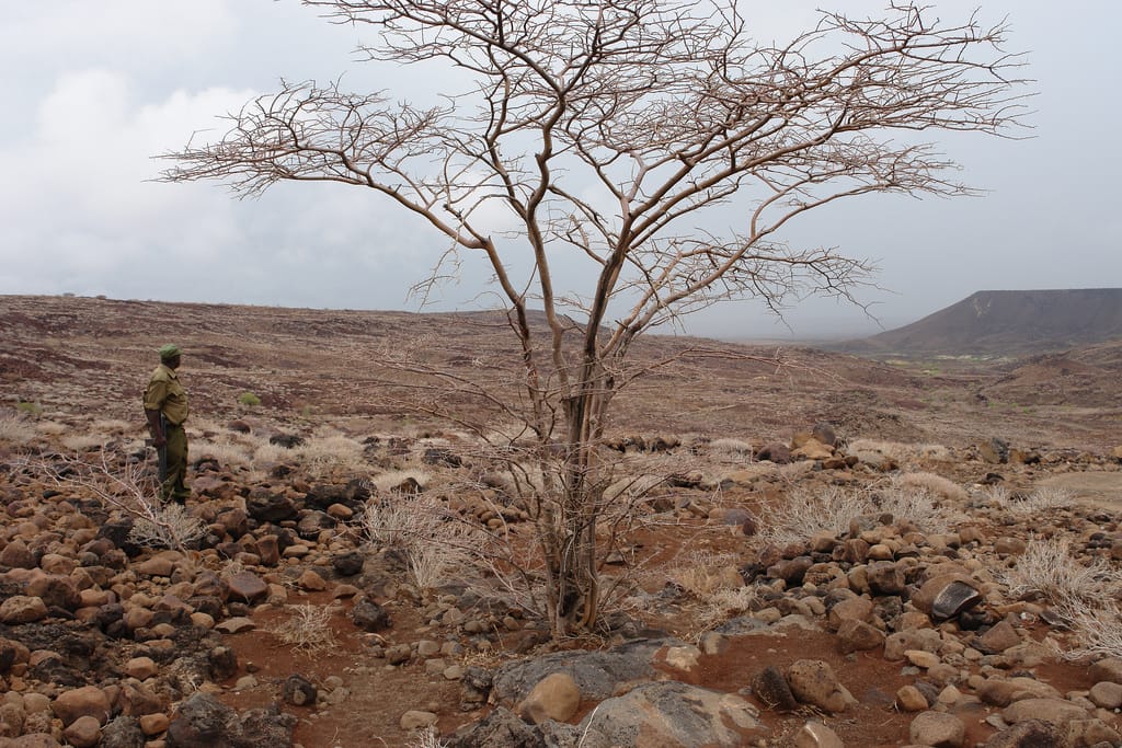 View of the Lake Turkana area (photo by Filiberto Strazzari/Flickr)