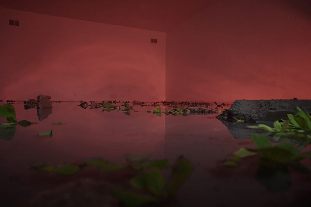 Martin Roth, "untitled (debris)" (2015)