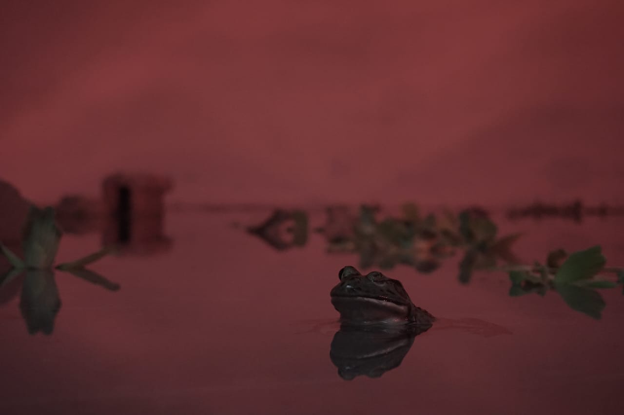 Martin Roth, "untitled (debris)" (2015)