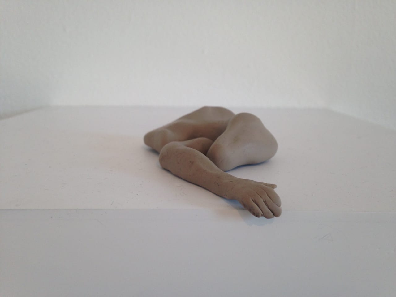 Sara Shaoul, Arm, 2015. Clay polymer