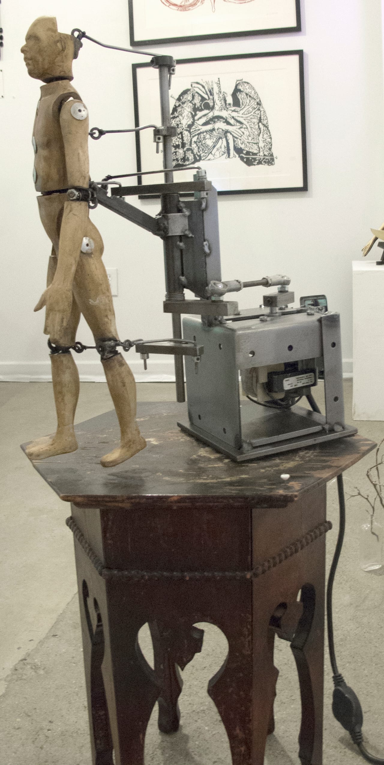 Alexandra Limpert two