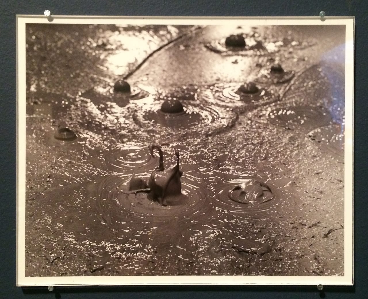 A&T_Rauschenberg Mud Muse