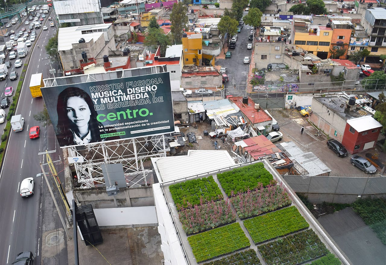 A view of one of CENTRO's green roofs with the América neighborhood beyond