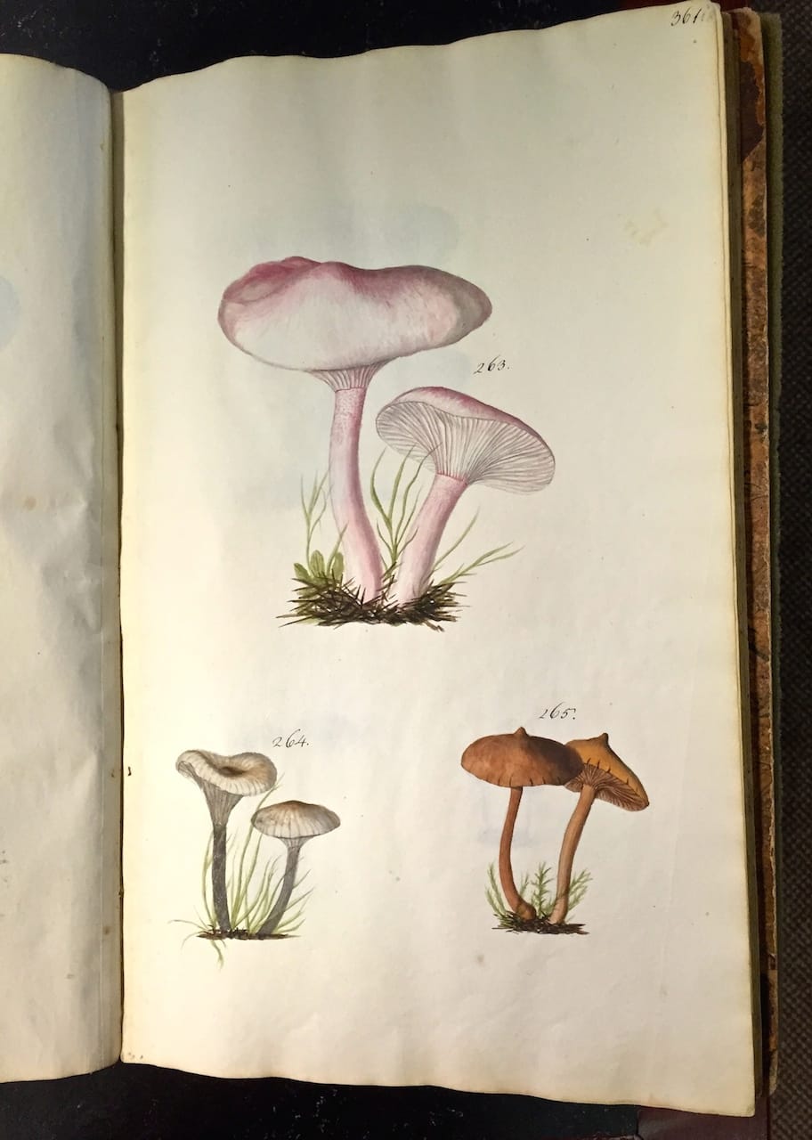 The Clergy and the Academy’s Collections