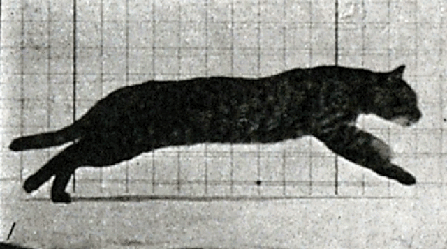 (GIF via @ExploreWellcome/Twitter)