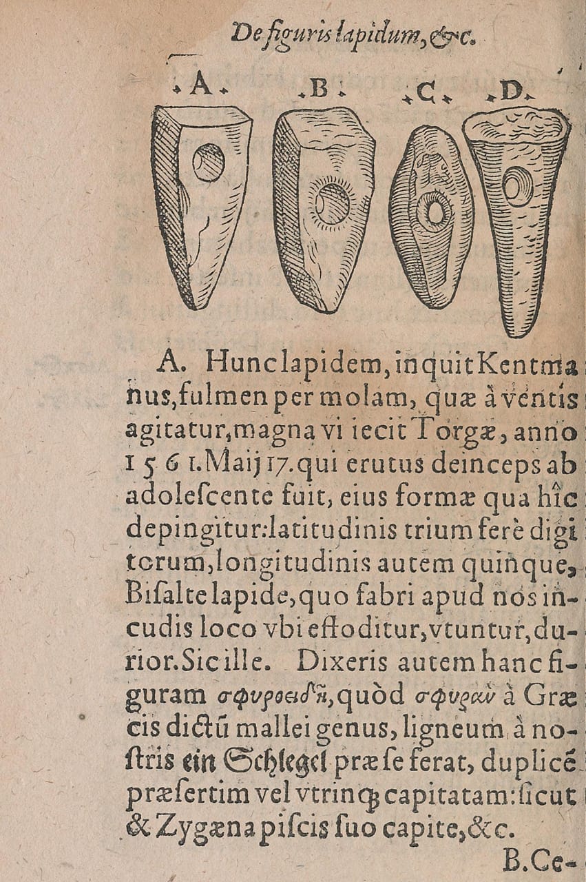 Woodblock illustration from Conrad Gessner's 'De Rerum Fossilium Lapidum et Gemmarum Maxime, Figuris et Similitudinibus Liber' (1565)