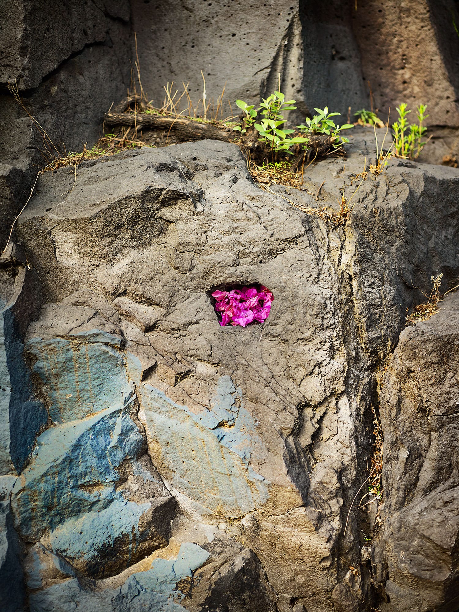 Hometown-of-Gabriel-Orozco1