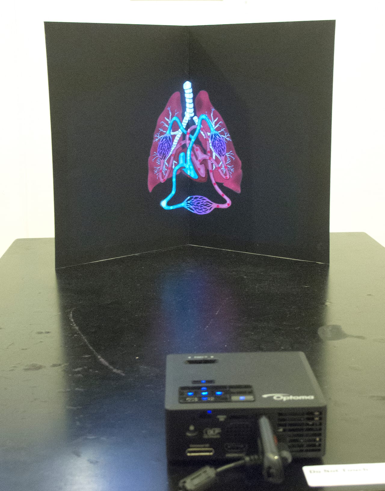 Marianne Petit, "Circulation" (2014), animation projected on pop-up book, 17.5 x 24 inches