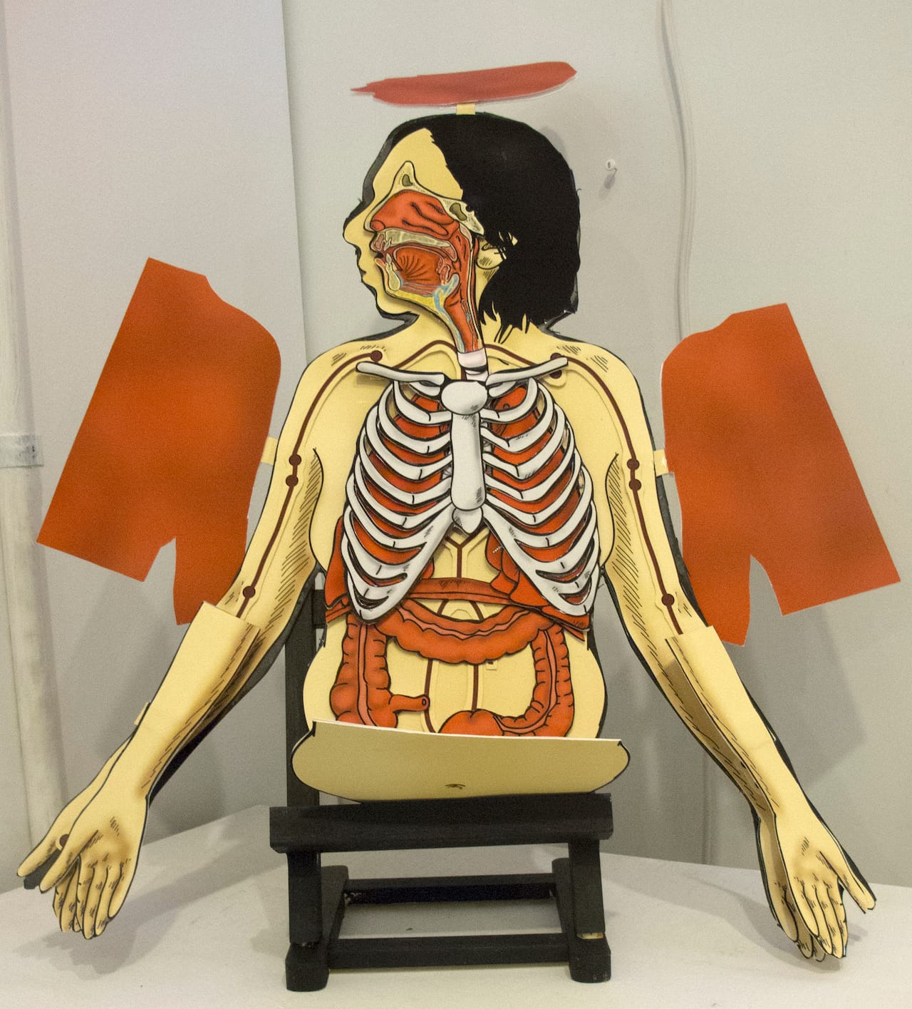 Marianne Petit, "Cross Section #2" (2014), paper cut, 17.5 x 24 inches