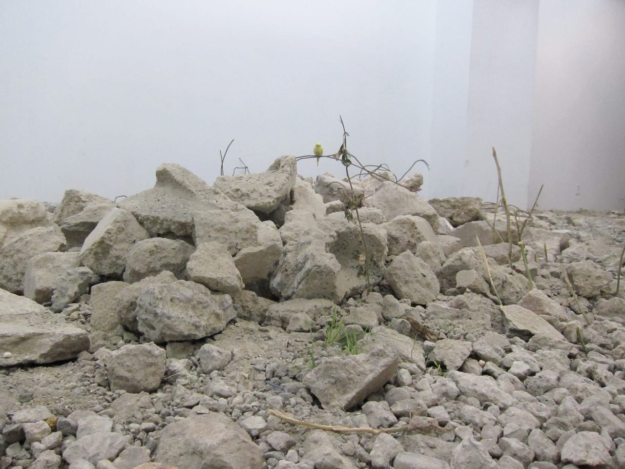 Martin Roth, "untitled (debris)" (2015)