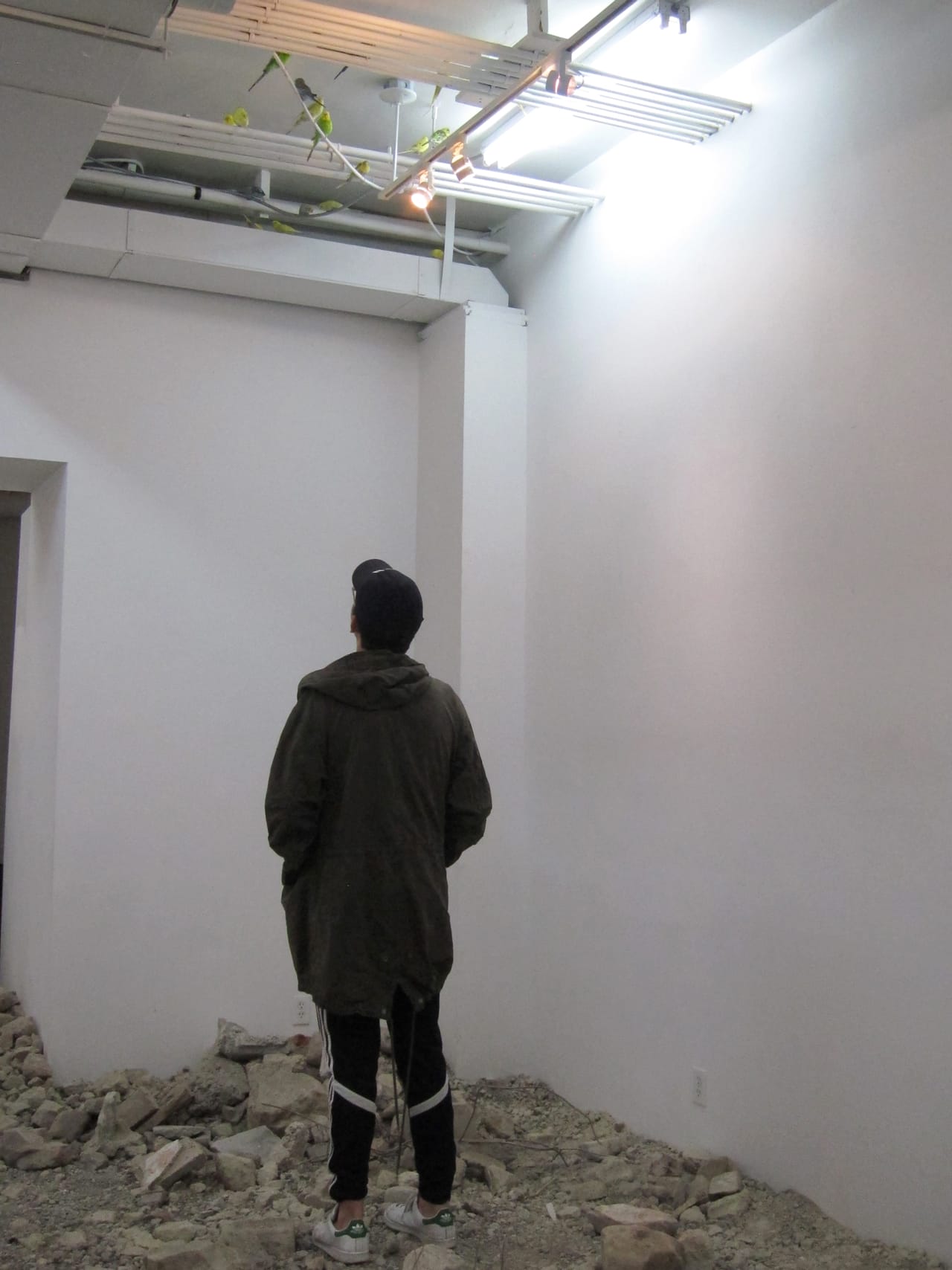 Martin Roth, "untitled (debris)" (2015) (click to enlarge)