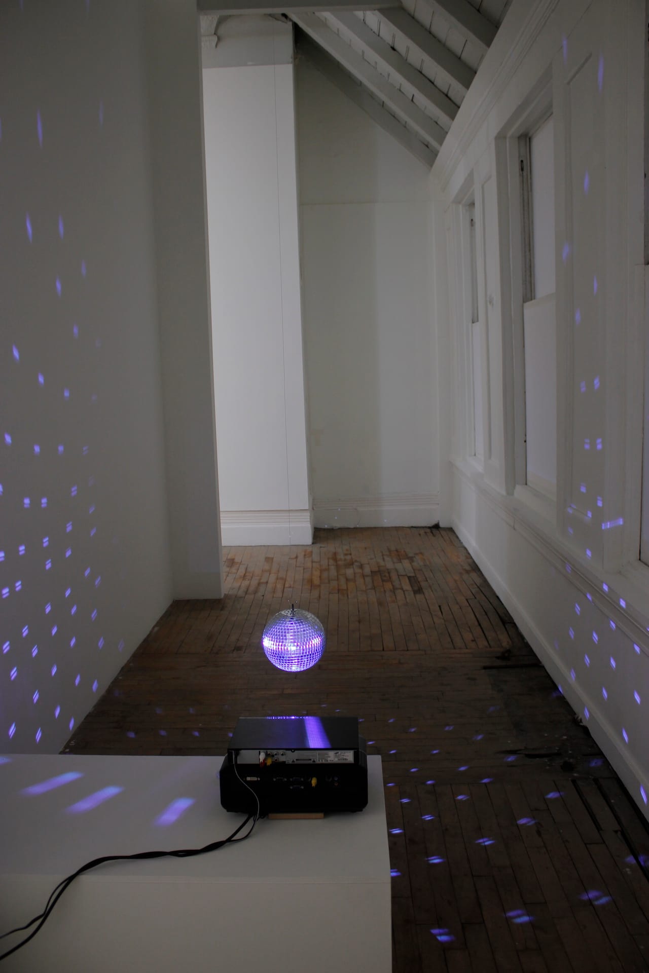 Conrad Ventur, "Where Have All The Flowers Gone?" (2008)