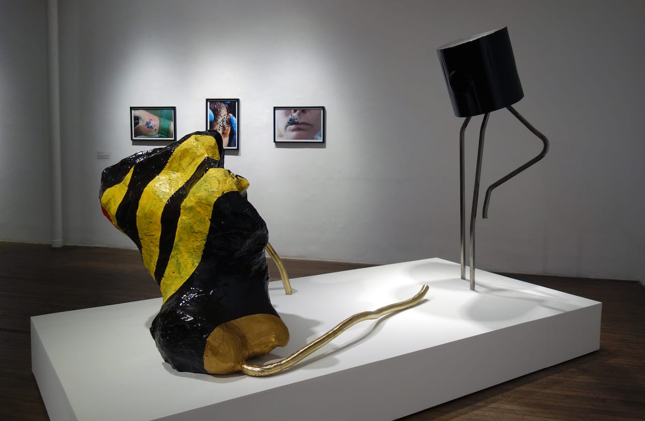 Kelly Heaton: Pollination 