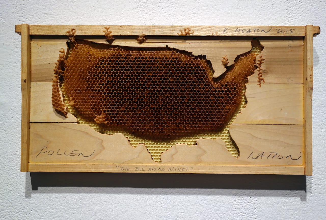 Kelly Heaton: Pollination 