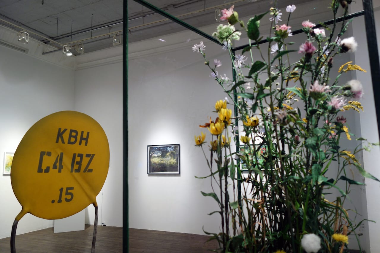 Kelly Heaton: Pollination 