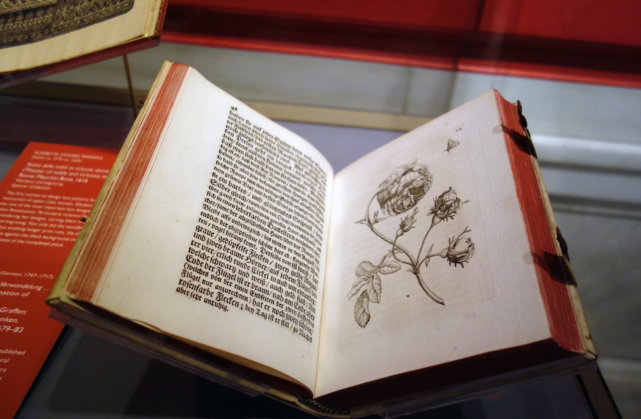 Installation view of 'Printing Women: Three Centuries of Female Printmakers, 1570–1900' (photo by the author for Hyperallergic)