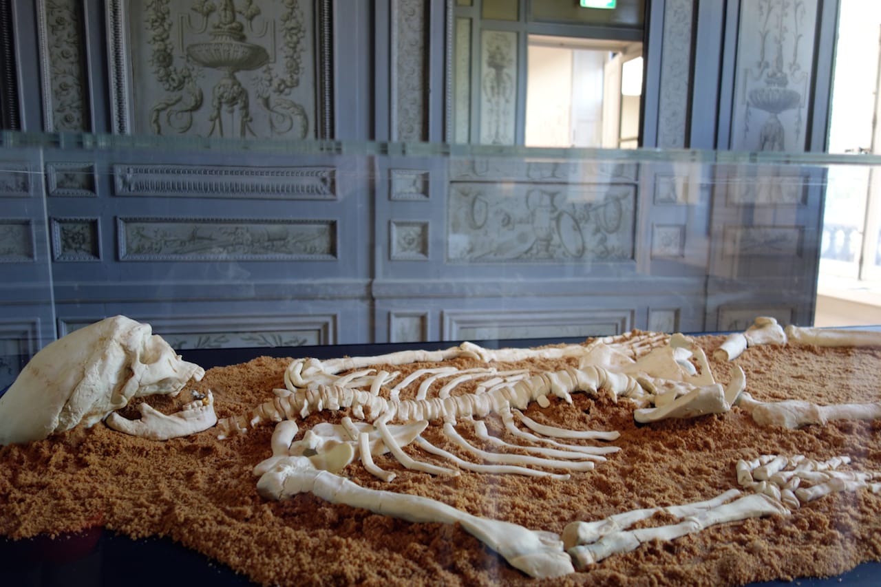 Daniel Spoerri, "Untitled" (2015), skeleton in marzipan