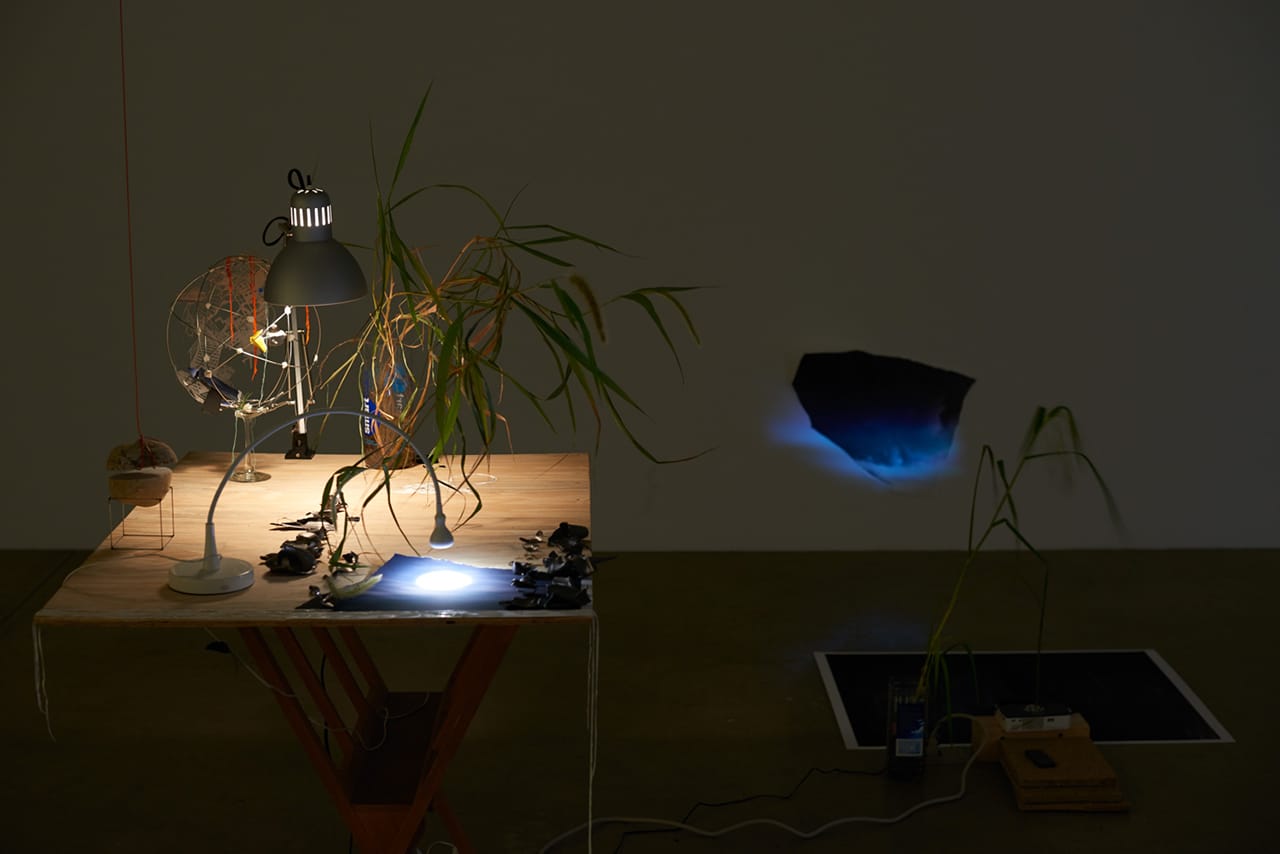Sarah Sze, "Seconds Clipped" (2015), wood, video projectors, lamps, stone, glazed ceramic, plants, archival prints, glass, 180 x 93 x 90 in (457.2 x 236.2 x 228.6 cm) (photo by Brett Moen, courtesy the artist and Tanya Bonakdar Gallery, New York)