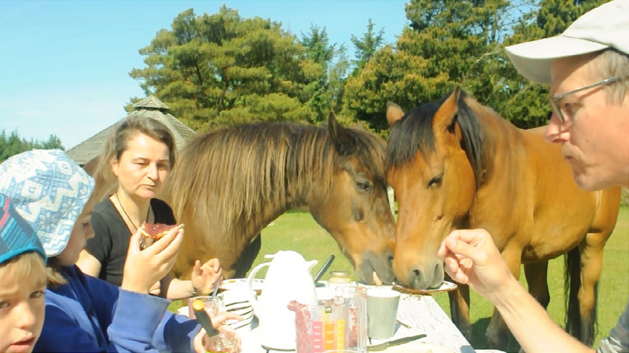 Harris's family, in the foreground, eats with horses after the Land Shape Symposium in northern Denmark.