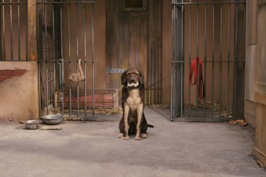 Still from Wes Anderson's "Fantastic Mr. Fox," 2009 