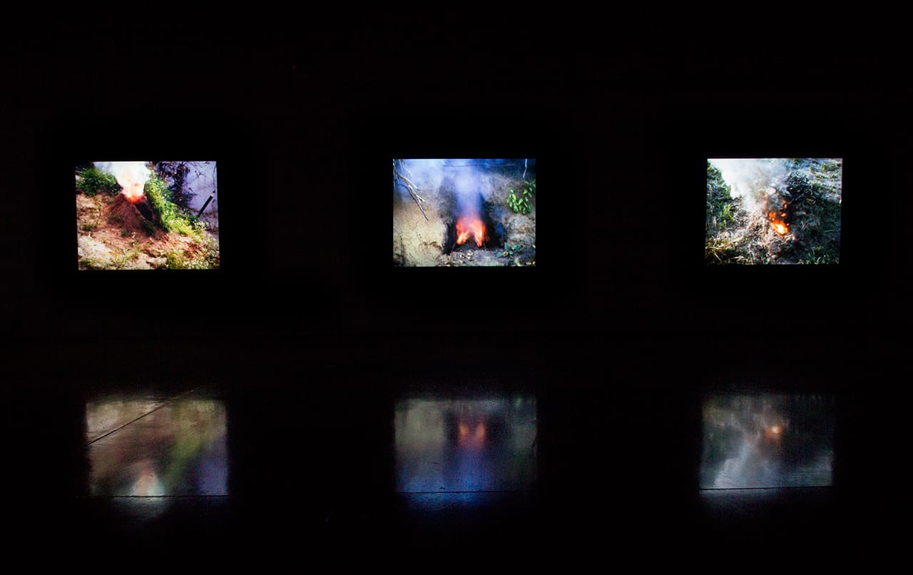 Installation view, 'Covered in Time and History: The Films of Ana Mendieta' at the Katherine E. Nash Gallery