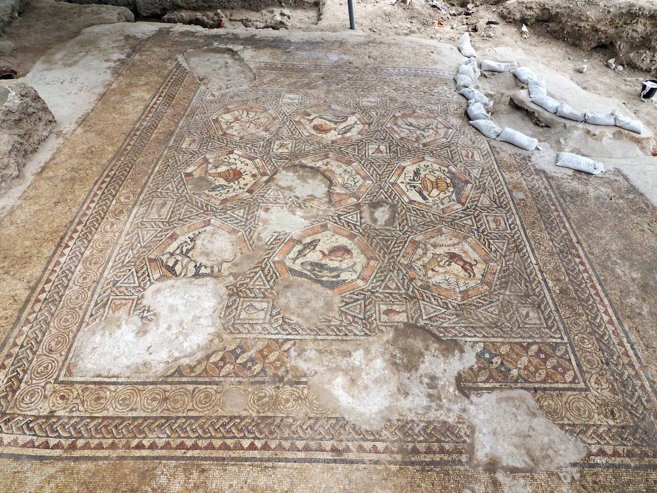 (photo by Assaf Peretz, all courtesy of the Israel Antiquities Authority)