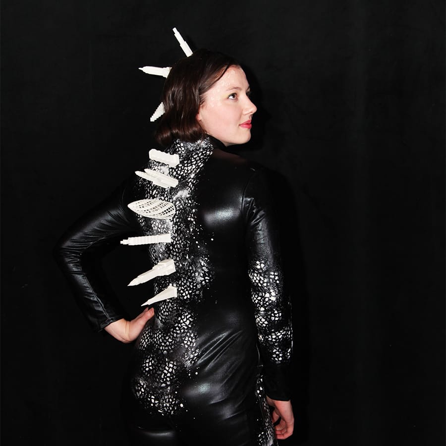 ARCHZILLA_(EVALYNN_ROSADO - WEISS-MANFREDI)