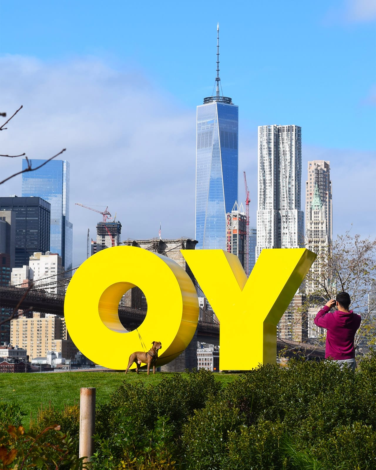 A man photographs his dog in front of Deborah Kass's "OY/YO" (2015) in Brooklyn Bridge Park.
