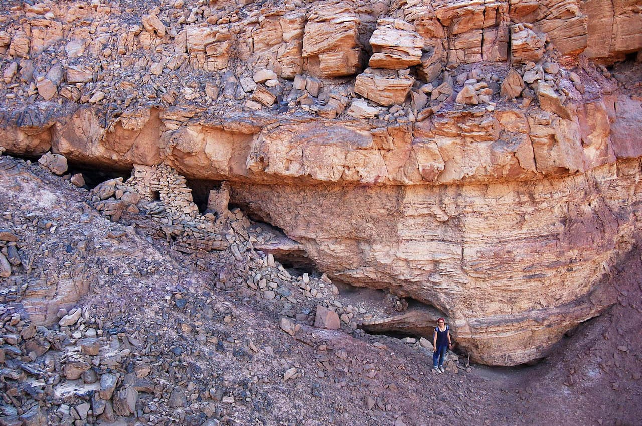 The Heritage of the Desert