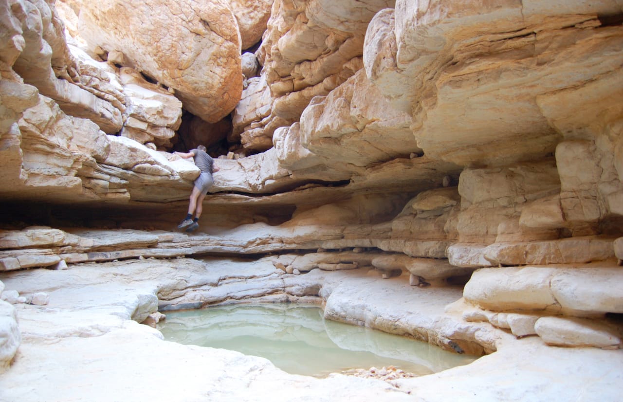 The Heritage of the Desert