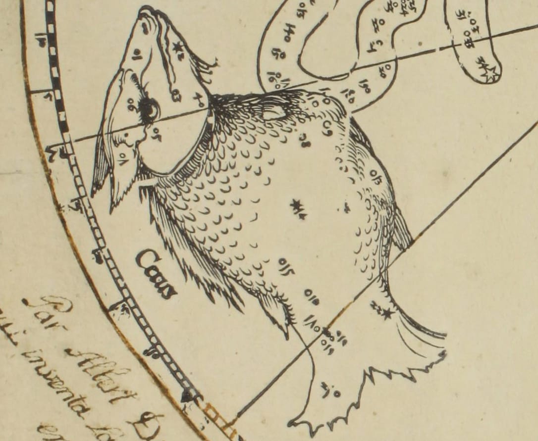 Detail of the southern hemisphere star map by Albrecht Dürer (courtesy Art Collections of the City of Nuremberg)