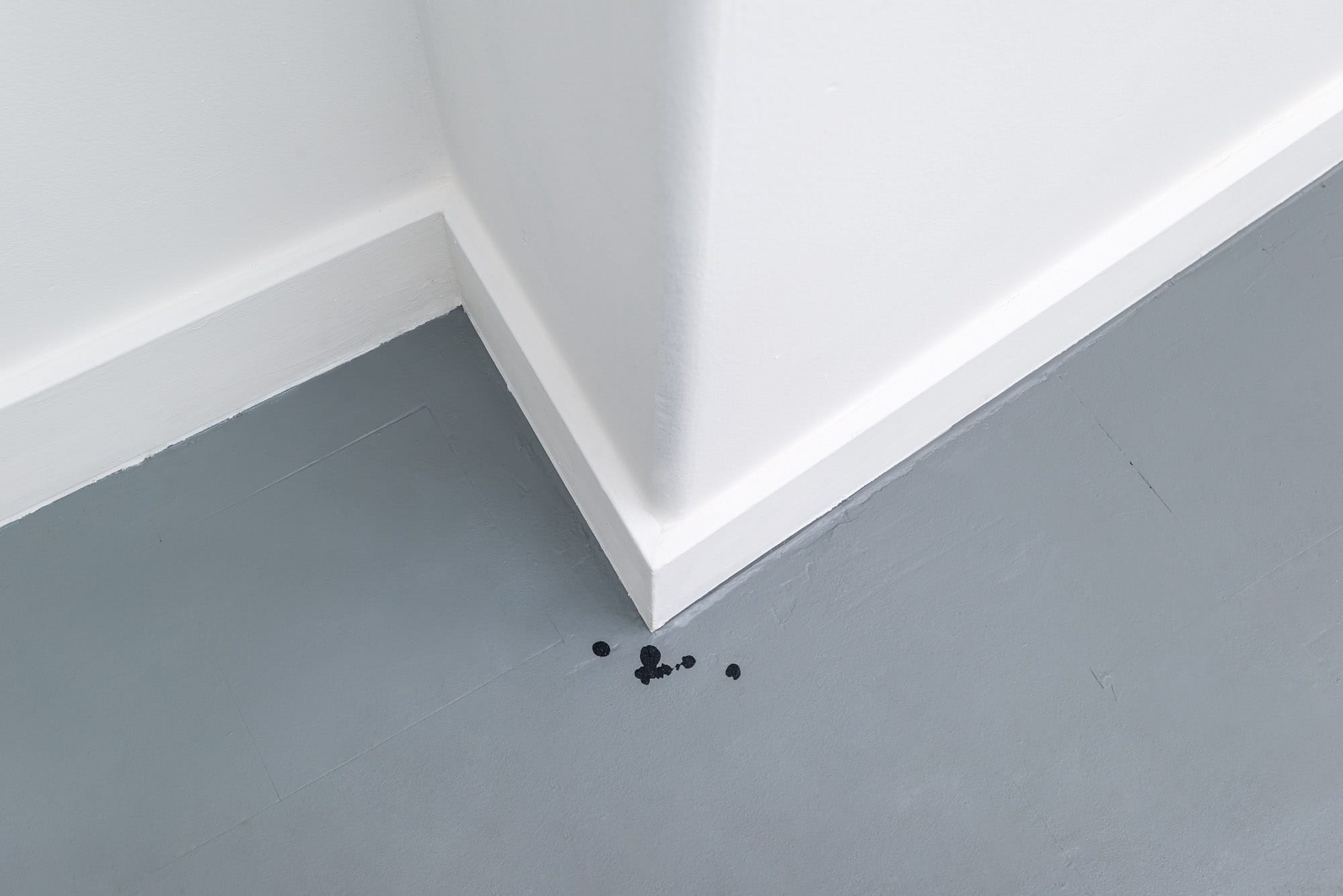 Brody Albert and Kaeleen Wescoat-O’Neill, “Anti-slip Gum” (2015)