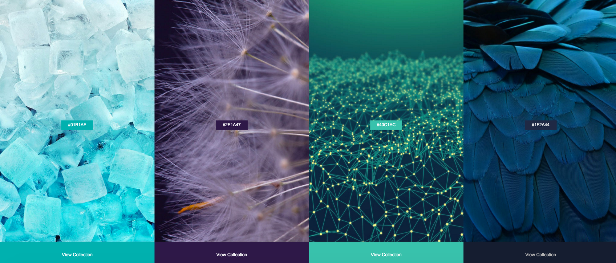 The four fastest-growing colors in Shutterstock's image library of 2015 (screenshot by the author)