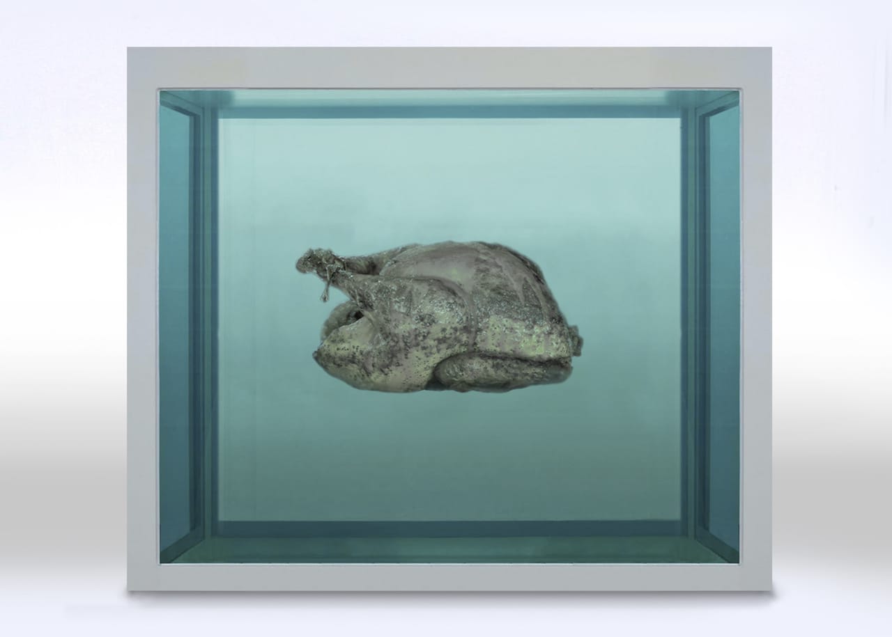 Hannah Rothstein, "Damien Hirst" (2015) (all photos courtesy the artist, via hrothstein.com)