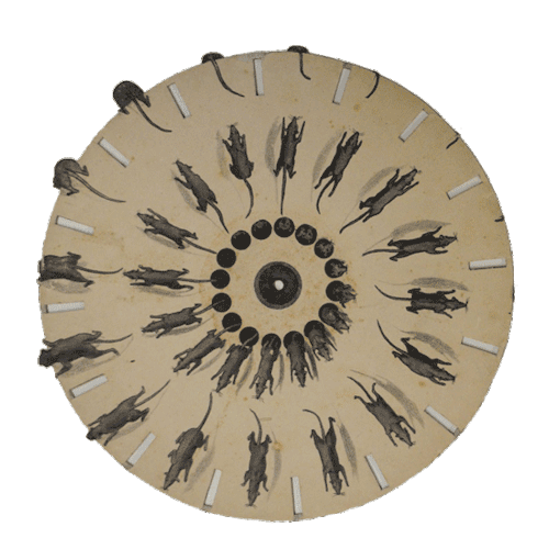 tumblr_nwyi24xhIX1r9jbwno1_r3_500