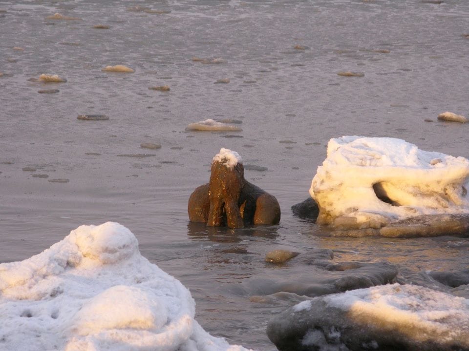 100Stone_SheilaWyne2