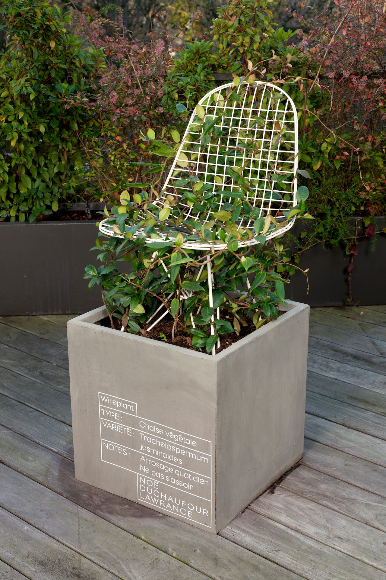 13.Wire plant by NoeDuchaufourLawarance ©HugoMiserey