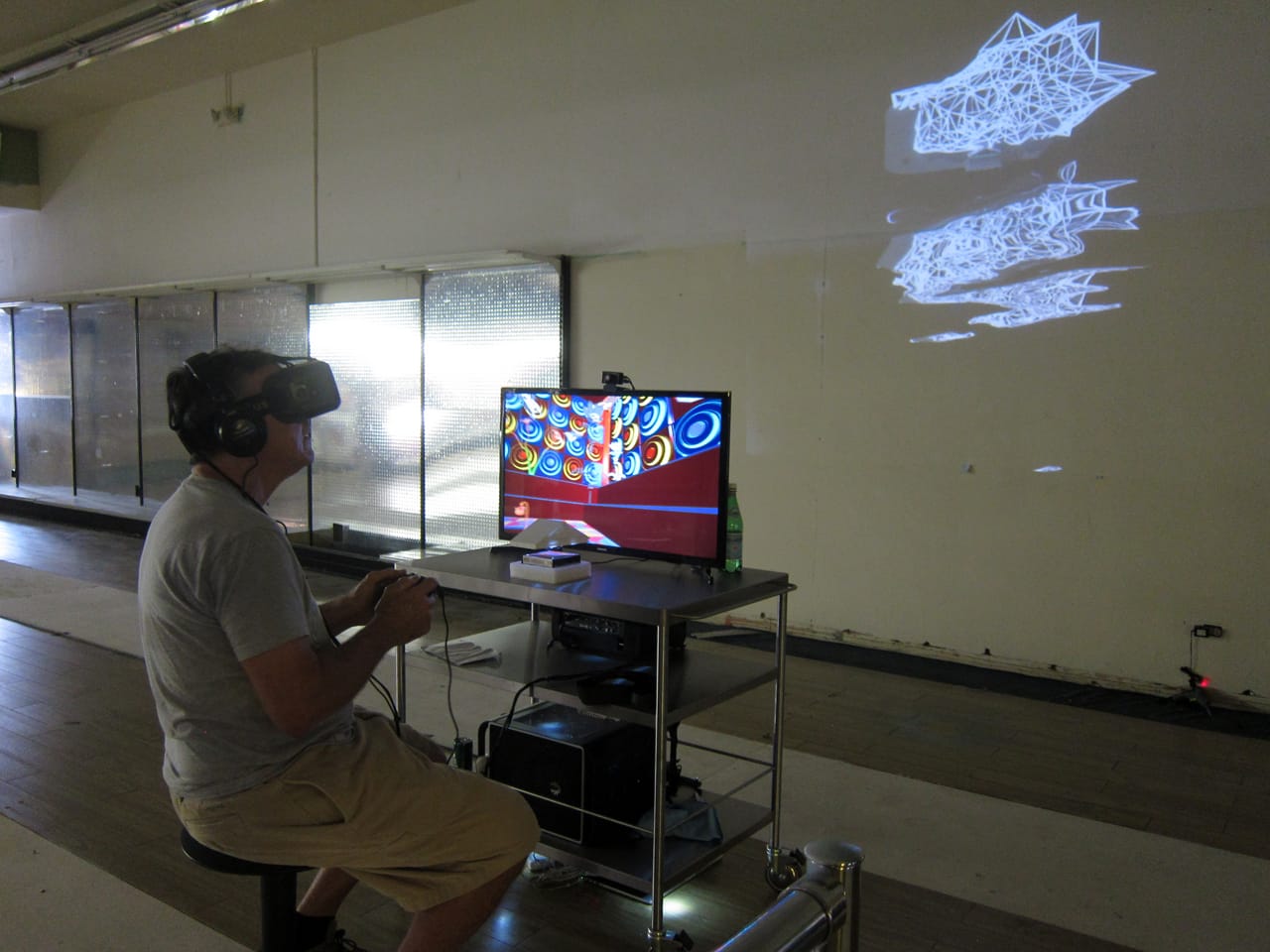 A visitor experiences "DiMoDA"