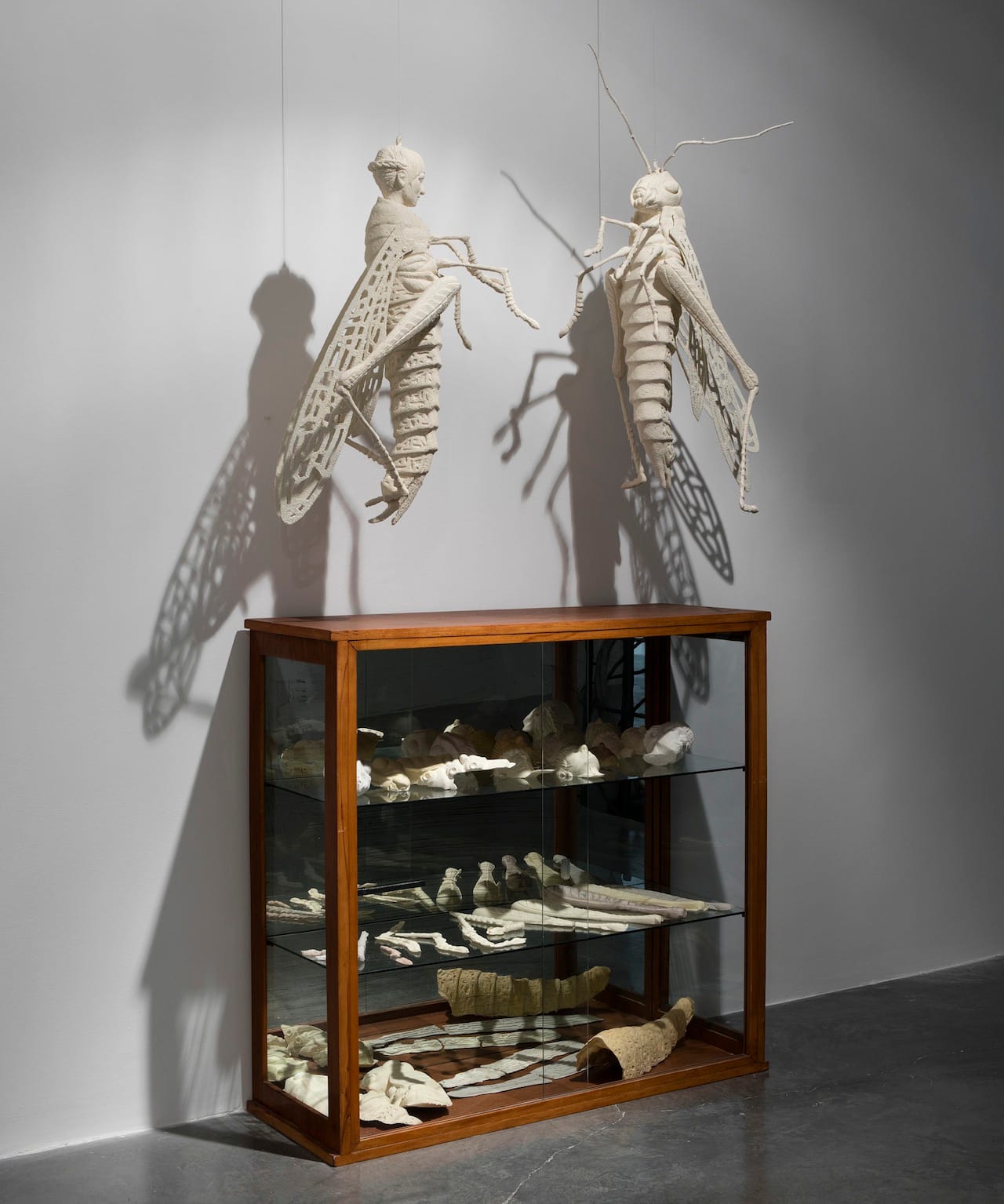 Güneş Çınar, "Conversation" (2015), papier mache, cabinet, dimensions variable