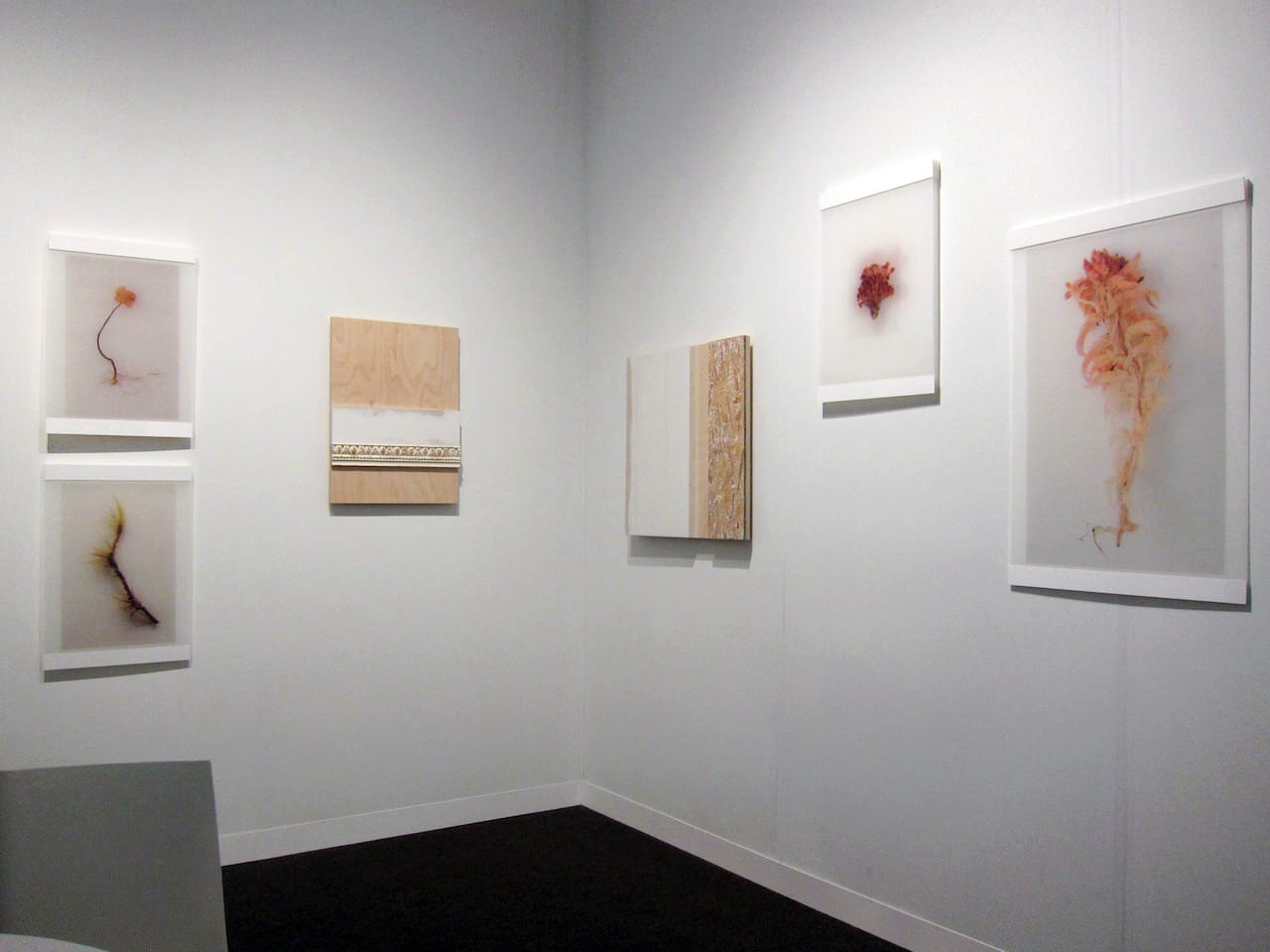 Works by Marion Wilson and Kirsten Nelson at Frederieke Taylor Gallery