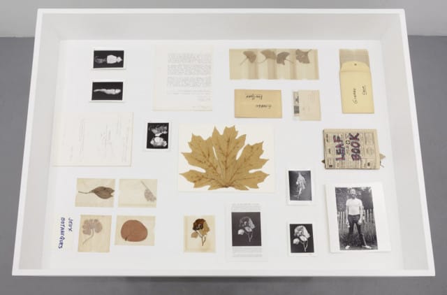 Installation-view-of-HOLLIS-FRAMPTON-ADSVMVS-ABSVMVS-ROOM-EAST-New-York-2015.-Courtesy-of-the-Estate-of-Hollis-Frampton-and-ROOM-EAST-vi-900x593