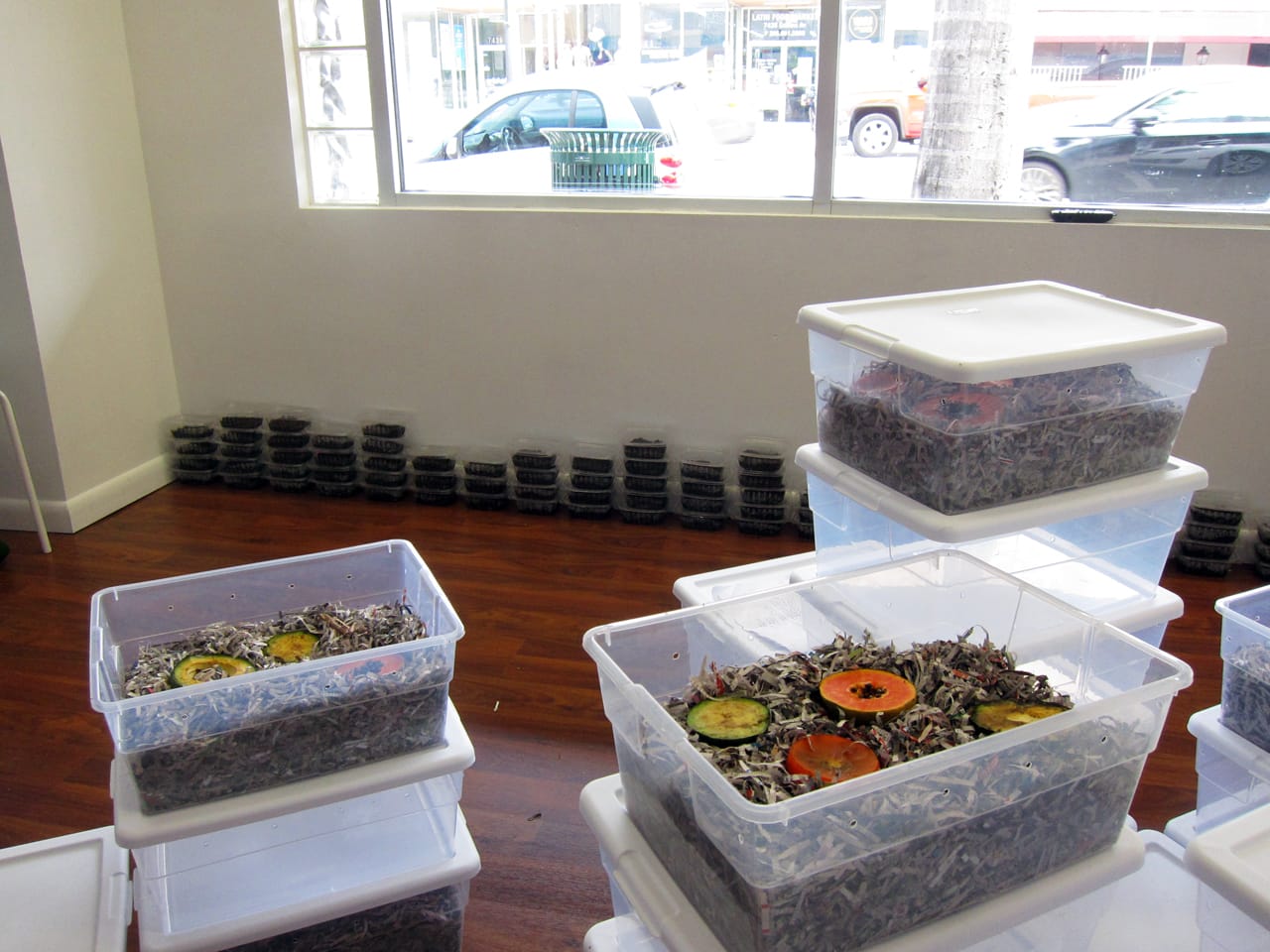 Laurencia Strauss, New Grounds, (2015)