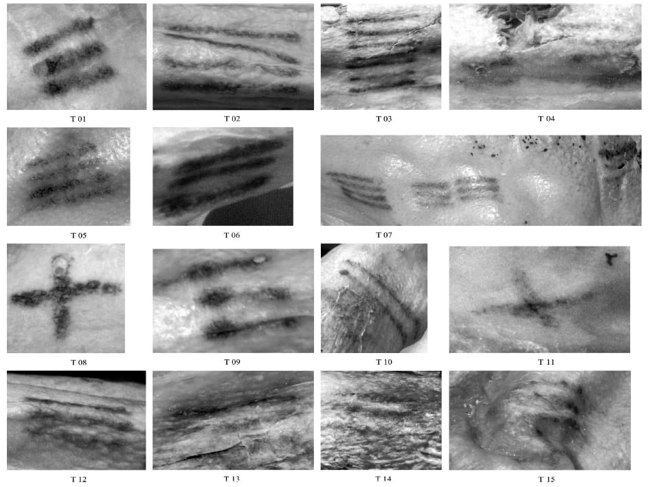 Imaging of Ötzi's tattoos (courtesy EURAC/M.Samadelli/M.Melis)